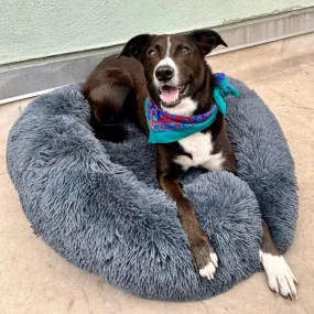 Anxiety Relieving Pet Bed