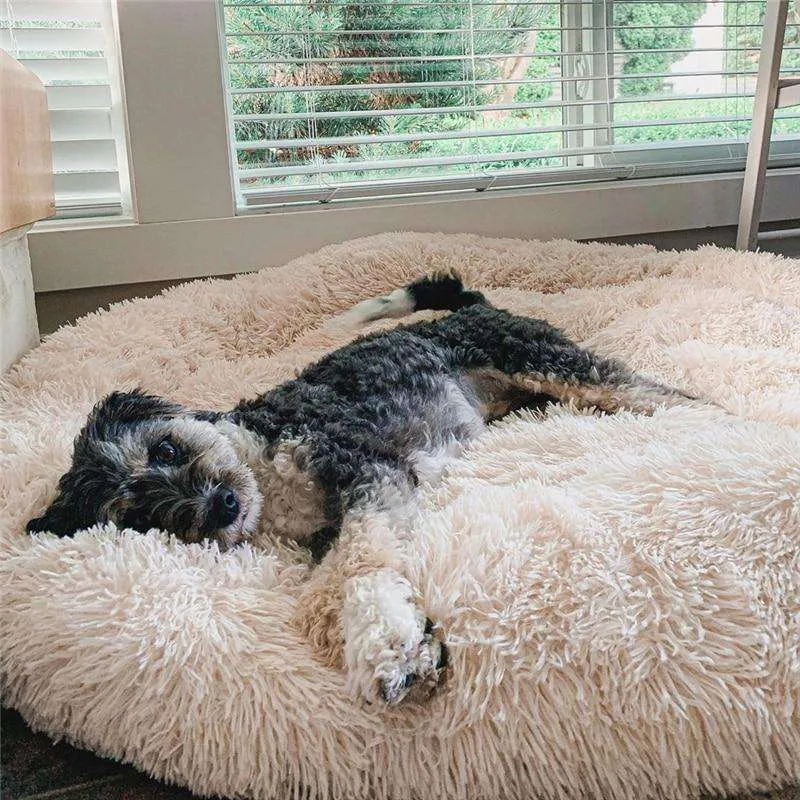 Anxiety Relieving Pet Bed