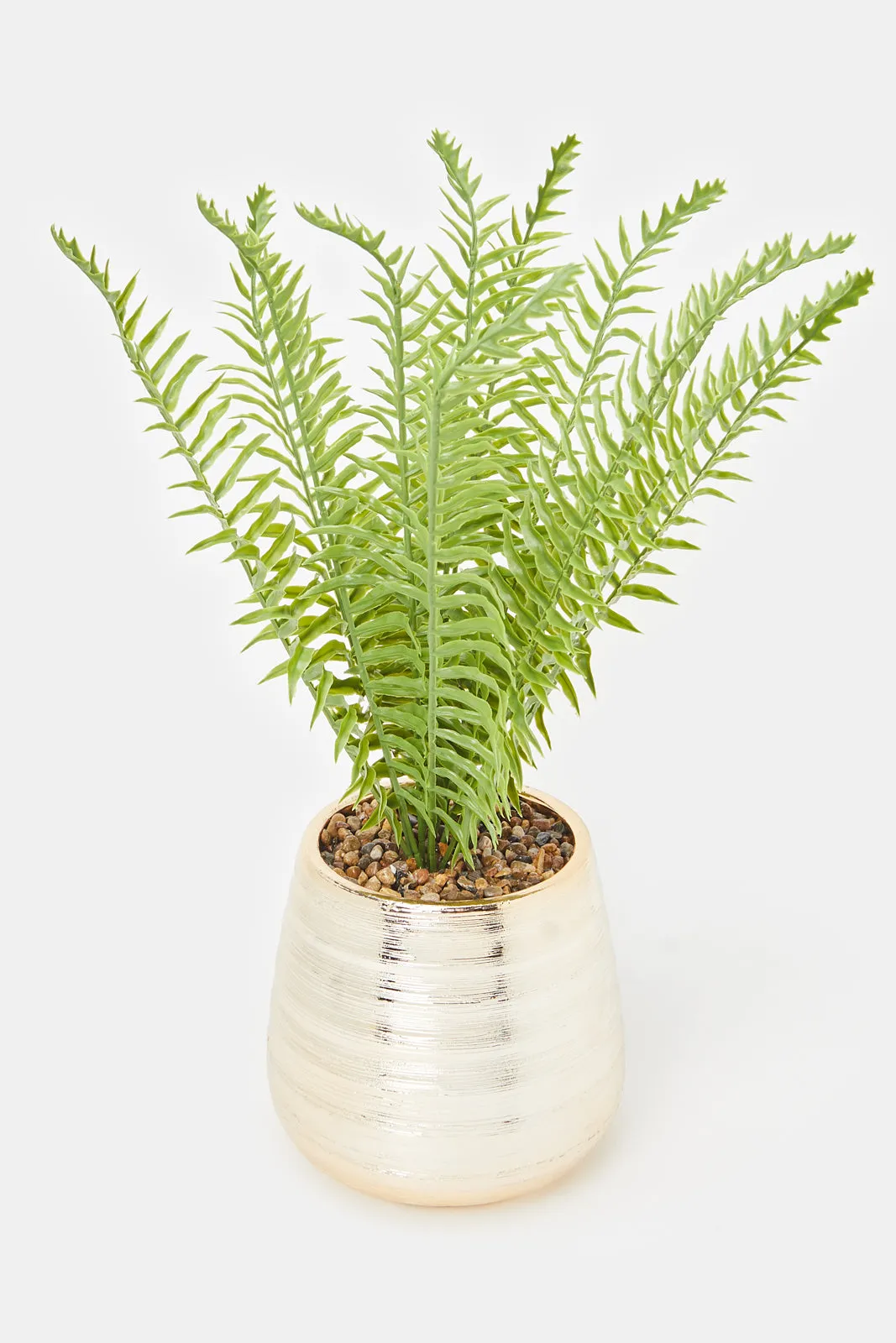 Artificial Creeper Plant In Ceramic Pot