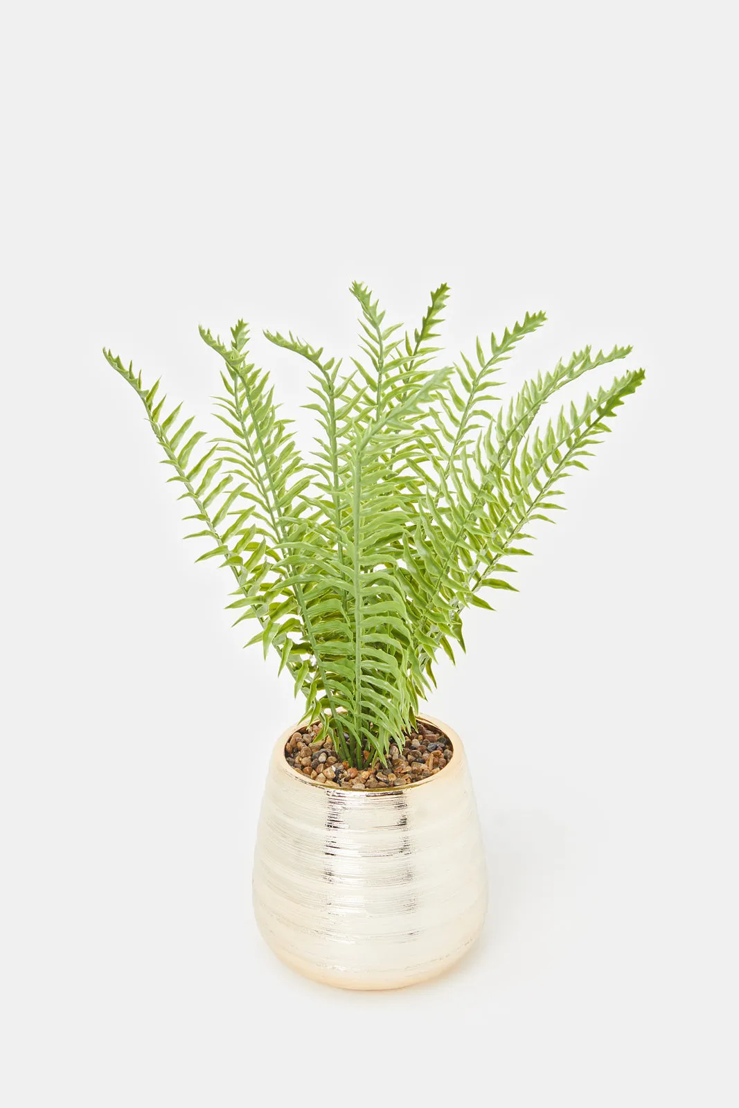 Artificial Creeper Plant In Ceramic Pot