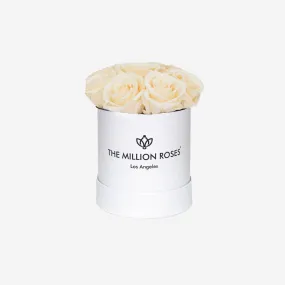 Basic White Box | Ivory Roses