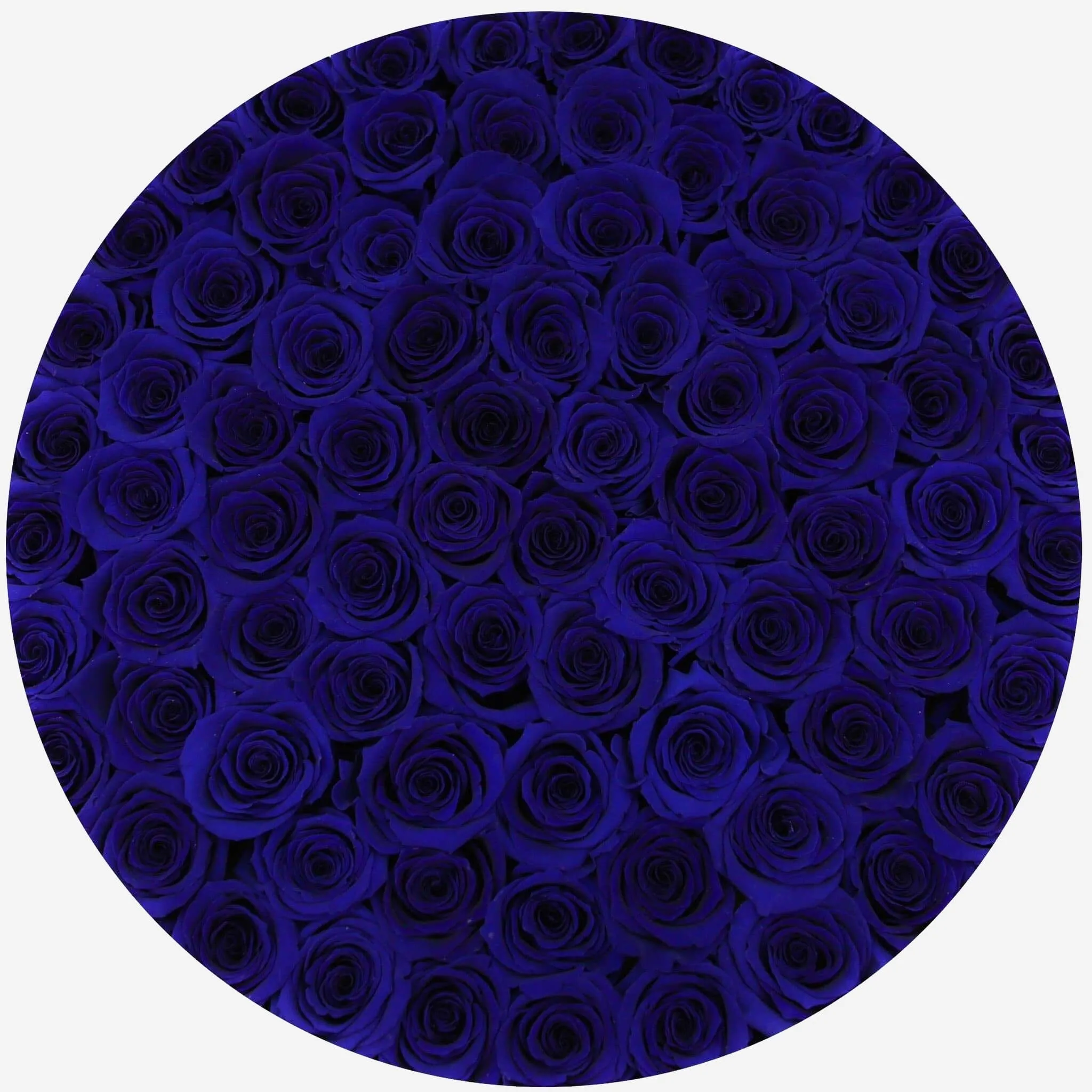 Deluxe Mirror Silver Box | Royal Blue Roses