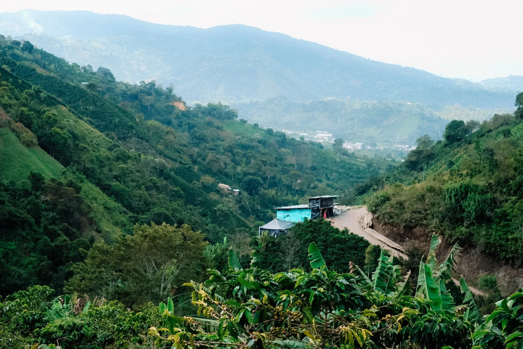 Martha Reina AA, Colombia