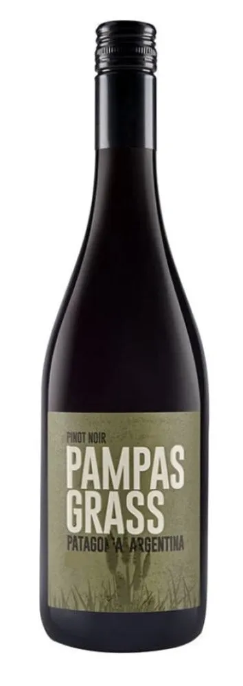 Pampas Grass Patagonia Pinot Noir