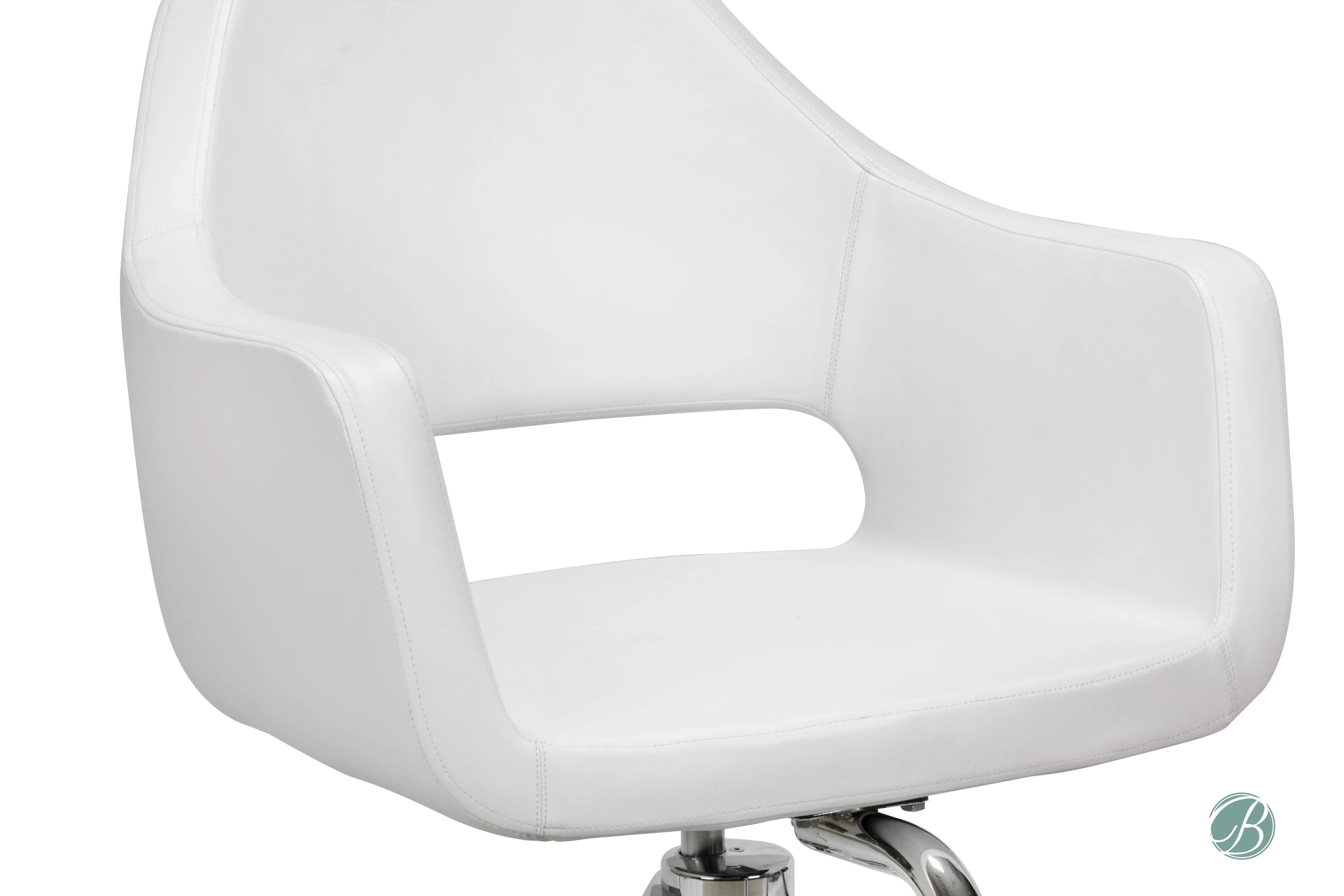 Richardson Beauty Salon Styling Chair